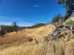 21500 MORGAN VALLEY ROAD LOWER LAKE, CA 95457