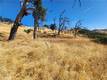 21500 MORGAN VALLEY ROAD LOWER LAKE, CA 95457