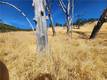 21500 MORGAN VALLEY ROAD LOWER LAKE, CA 95457