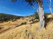 21500 MORGAN VALLEY ROAD LOWER LAKE, CA 95457