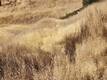 21500 MORGAN VALLEY ROAD LOWER LAKE, CA 95457