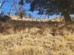 21500 MORGAN VALLEY ROAD LOWER LAKE, CA 95457