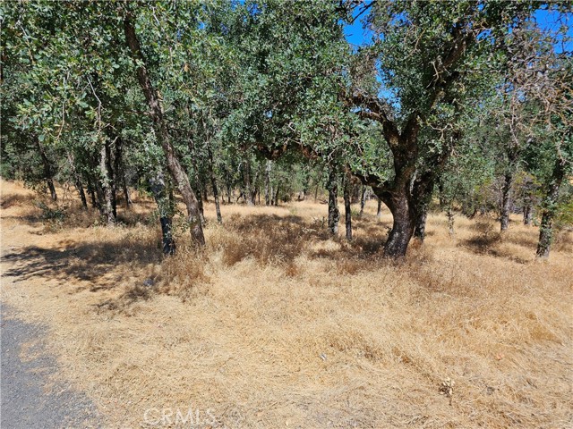 15676 34TH AVENUE CLEARLAKE, CA 95422