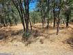 15676 34TH AVENUE CLEARLAKE, CA 95422