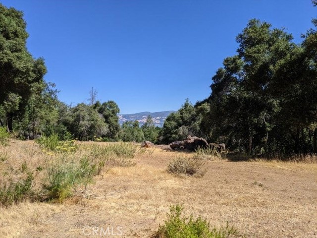 6535 PLEASANT COURT KELSEYVILLE, CA 95451
