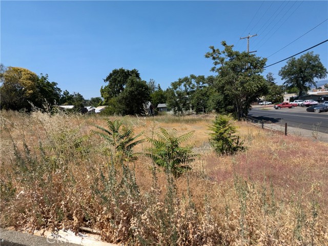 455 N FORBES STREET LAKEPORT, CA 95453
