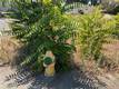 455 N FORBES STREET LAKEPORT, CA 95453