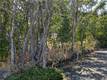 455 N FORBES STREET LAKEPORT, CA 95453