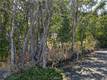 220 4TH STREET LAKEPORT, CA 95453