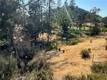 14533 SNEAD DRIVE COBB, CA 95426