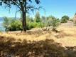7271 E HIGHWAY 20 LUCERNE, CA 95458