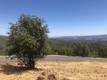 15927 EAGLE ROCK ROAD HIDDEN VALLEY LAKE, CA 95467