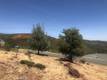 15927 EAGLE ROCK ROAD HIDDEN VALLEY LAKE, CA 95467