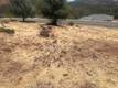 15927 EAGLE ROCK ROAD HIDDEN VALLEY LAKE, CA 95467