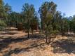 19697 DONKEY HILL ROAD HIDDEN VALLEY LAKE, CA 95467