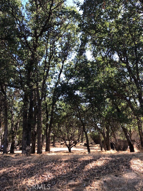 19200 MOON RIDGE ROAD HIDDEN VALLEY LAKE, CA 95467