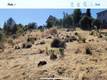 15965 EAGLE ROCK ROAD HIDDEN VALLEY LAKE, CA 95467