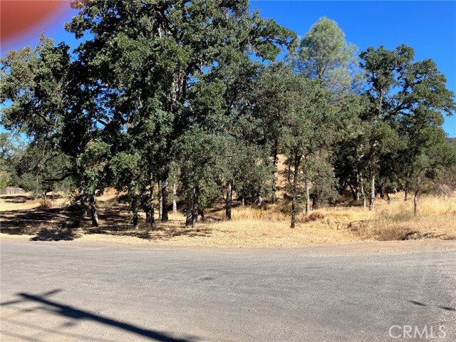 16108 36TH AVENUE CLEARLAKE, CA 95422