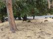 16789 SPRUCE GROVE ROAD HIDDEN VALLEY LAKE, CA 95467