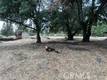 16789 SPRUCE GROVE ROAD HIDDEN VALLEY LAKE, CA 95467