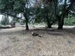16789 SPRUCE GROVE ROAD HIDDEN VALLEY LAKE, CA 95467