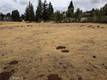 16789 SPRUCE GROVE ROAD HIDDEN VALLEY LAKE, CA 95467