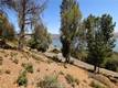 8151 BROADVIEW DRIVE KELSEYVILLE, CA 95451