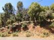 8151 BROADVIEW DRIVE KELSEYVILLE, CA 95451