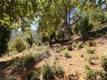 8151 BROADVIEW DRIVE KELSEYVILLE, CA 95451