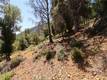8151 BROADVIEW DRIVE KELSEYVILLE, CA 95451