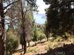 8151 BROADVIEW DRIVE KELSEYVILLE, CA 95451