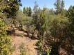 8157 BROADVIEW DRIVE KELSEYVILLE, CA 95451