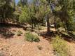 8157 BROADVIEW DRIVE KELSEYVILLE, CA 95451