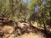 8157 BROADVIEW DRIVE KELSEYVILLE, CA 95451