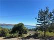 3329 PINE TERRACE DRIVE KELSEYVILLE, CA 95451
