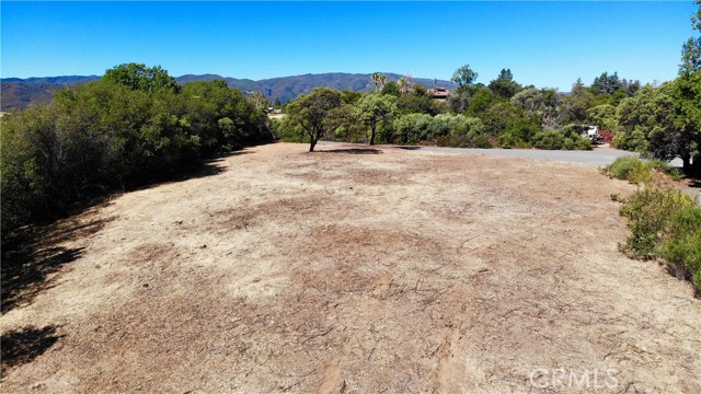 1985 BASTIAN COURT LAKEPORT, CA 95453