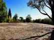 1985 BASTIAN COURT LAKEPORT, CA 95453