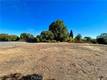1985 BASTIAN COURT LAKEPORT, CA 95453