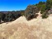 1985 BASTIAN COURT LAKEPORT, CA 95453