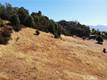 1985 BASTIAN COURT LAKEPORT, CA 95453