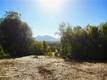 1985 BASTIAN COURT LAKEPORT, CA 95453