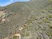 3110 CALIFORNIA DRIVE NICE, CA 95464