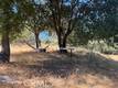 48 SANDALWOOD COURT CLEARLAKE OAKS, CA 95423