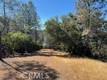 48 SANDALWOOD COURT CLEARLAKE OAKS, CA 95423
