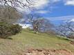 12115 LAKEVIEW DRIVE CLEARLAKE OAKS, CA 95423