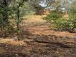 12508 LAKEVIEW DRIVE CLEARLAKE OAKS, CA 95423