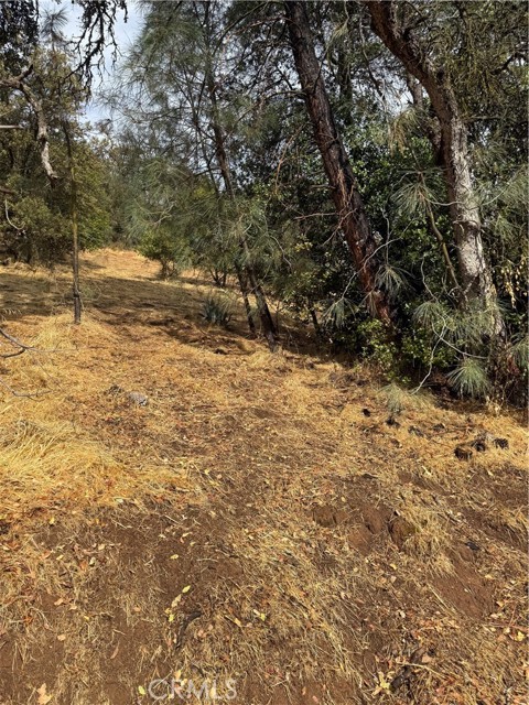 12504 LAKEVIEW DRIVE CLEARLAKE OAKS, CA 95423