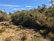 9252 TAKELMA COURT KELSEYVILLE, CA 95451