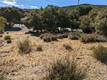9252 TAKELMA COURT KELSEYVILLE, CA 95451