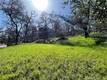 2515 EASTLAKE KELSEYVILLE, CA 95451